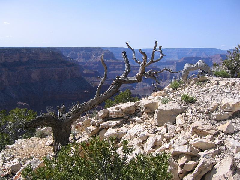 Grand Canyon (50).JPG